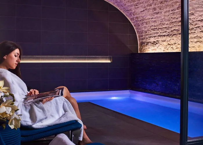 Grand Hotel La Cloche Dijon - Mgallery Collection